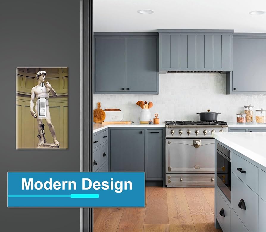 Art Plates - Michelangelo's David Switch Plate - Single